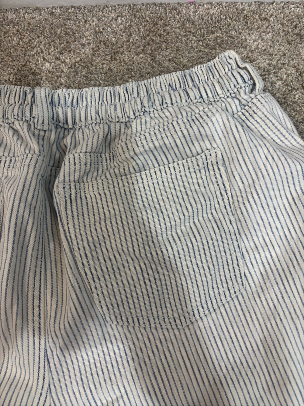 Aerie Blue & White Striped Chambray Casual Shorts Size Large Summer Beachy - Picture 2 of 11